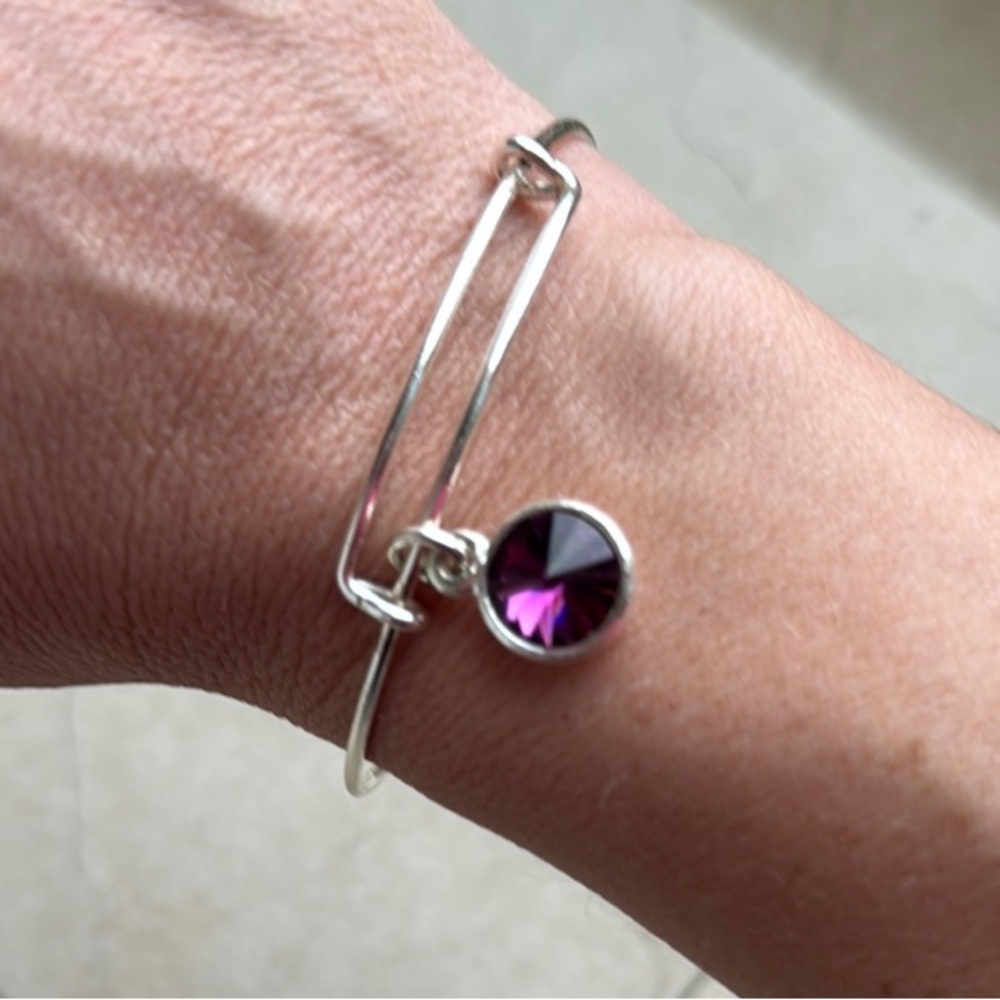 Alex and Ani February birthstone bracelet